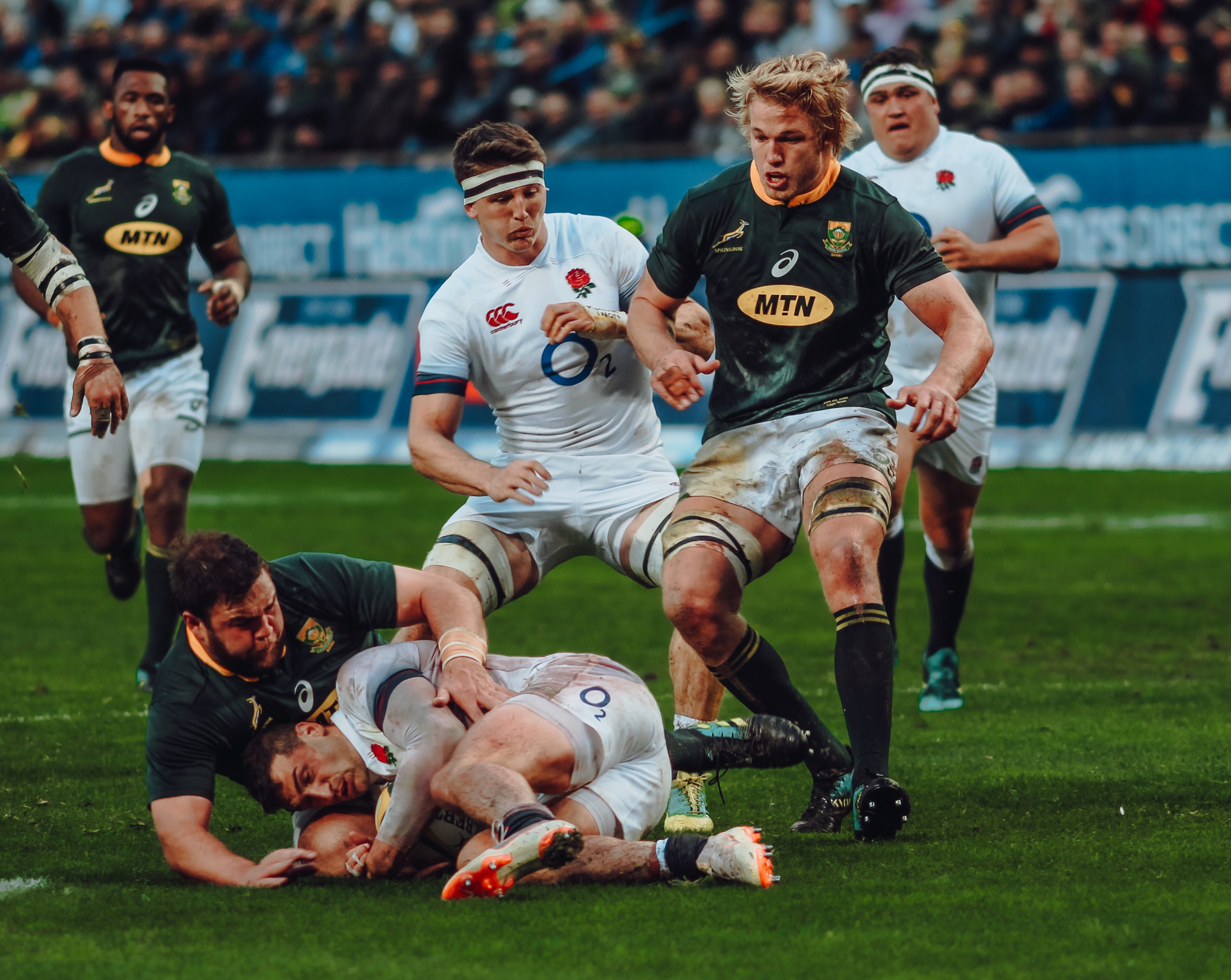 Photograref Springboks